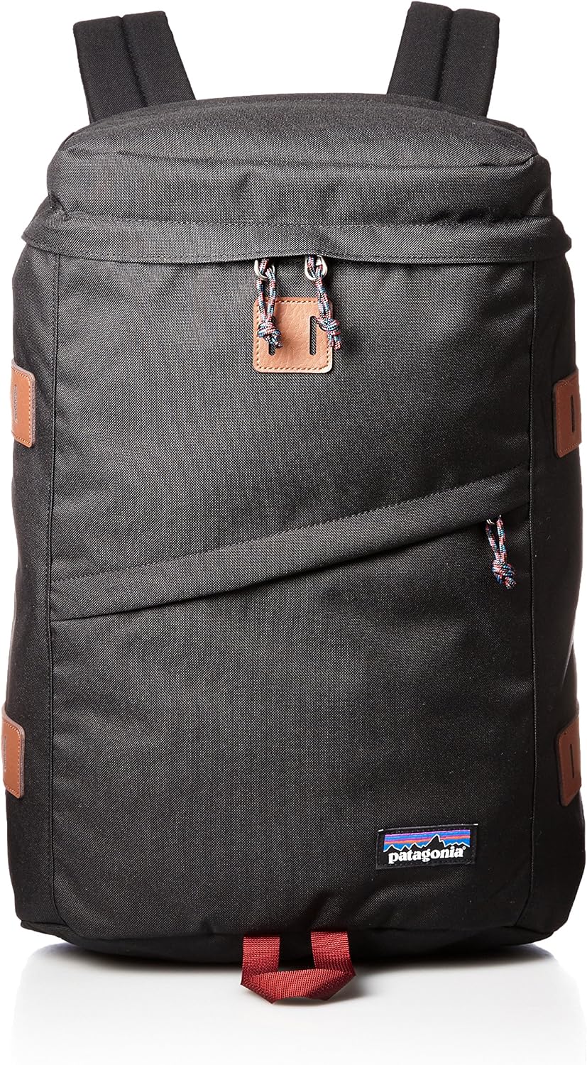 patagonia water repellent