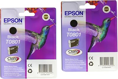 Epson T0801 Black Ink Cartridge Pack of 2 for Stylus Photo P50 PX Series
