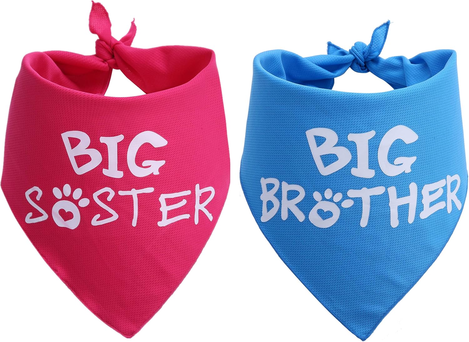 big brother in training dog bandana