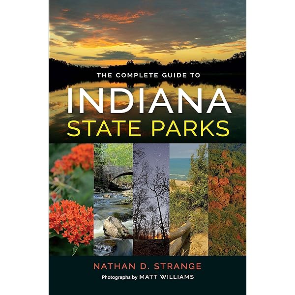 Amazon.com: Securing The State (Columbia/Hurst): 9780231701846