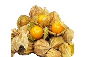 ZELLAJAKE FARM AND GARDEN Heirloom Pineapple Tomatillo Seeds - Physalis pruinosa - 135 Seeds, 1/10 gram - B271