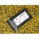 Buzz Button Edible Flowers aka Spilanthes aka Toothache Plant - Naturally Cured (1/4 Ounce)