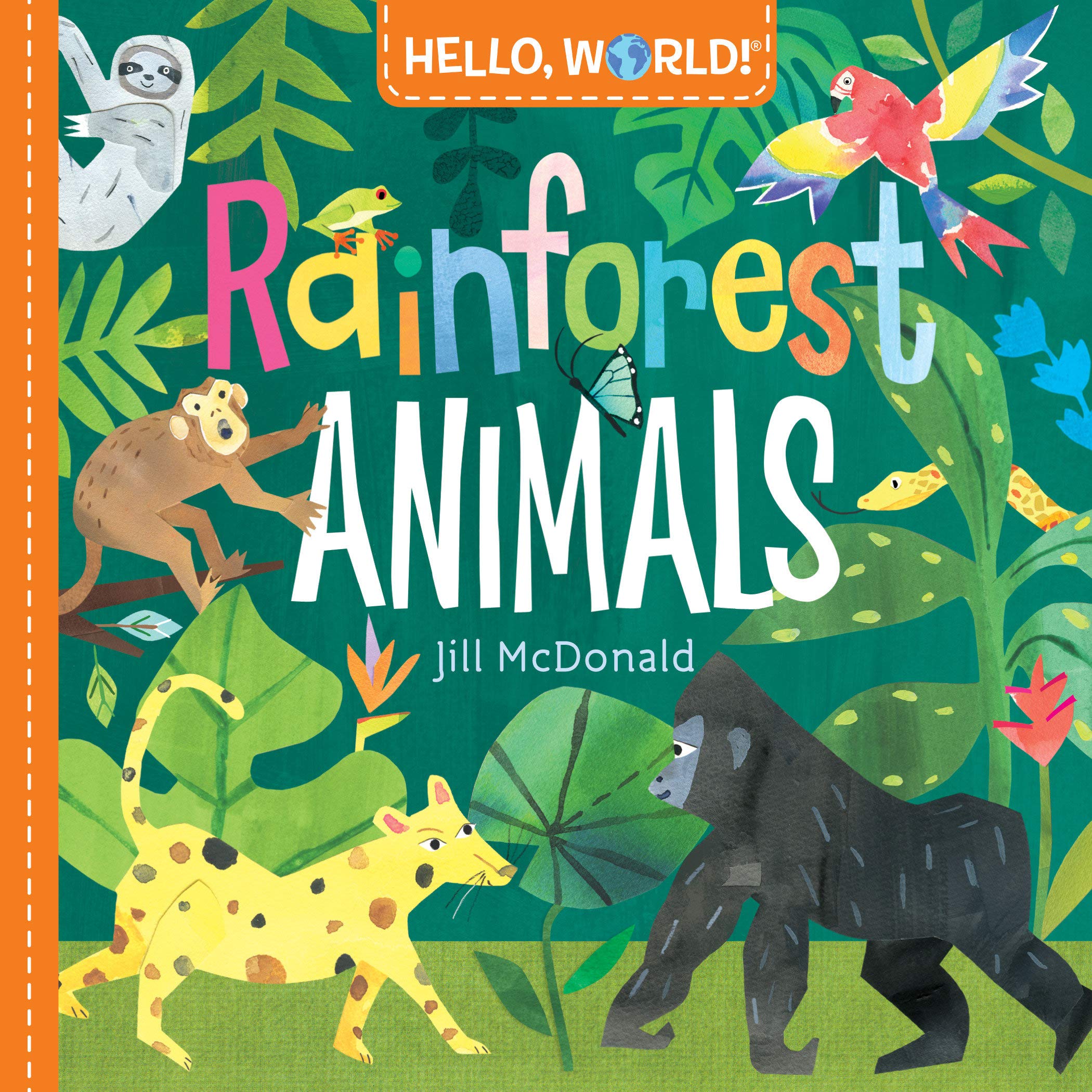 48 Fantastic Rainforest Books for Kids - Teaching Expertise
