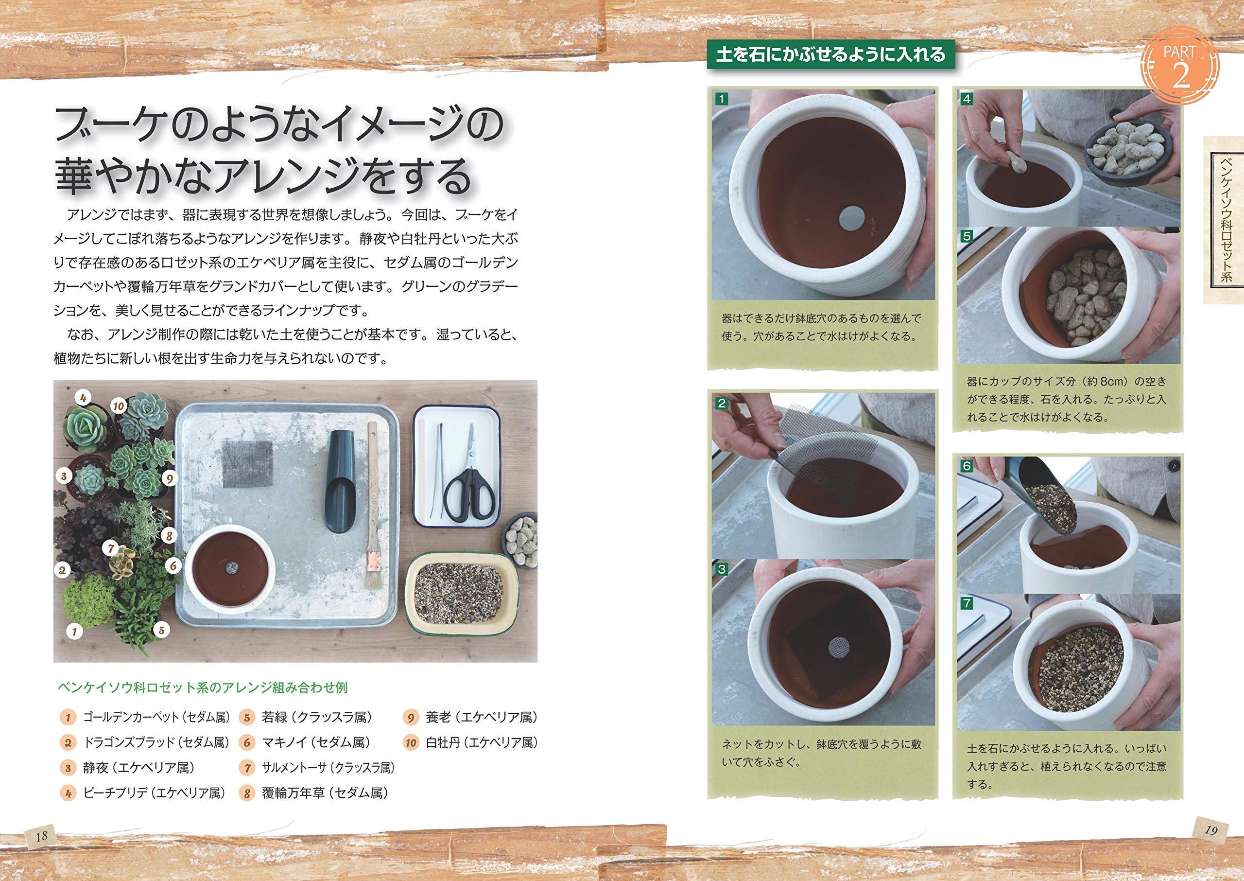 アレンジが広がる 多肉植物ずかん 種類別にわかる育て方 飾り方 新版 コツがわかる本 Tokiiro 本 通販 Amazon