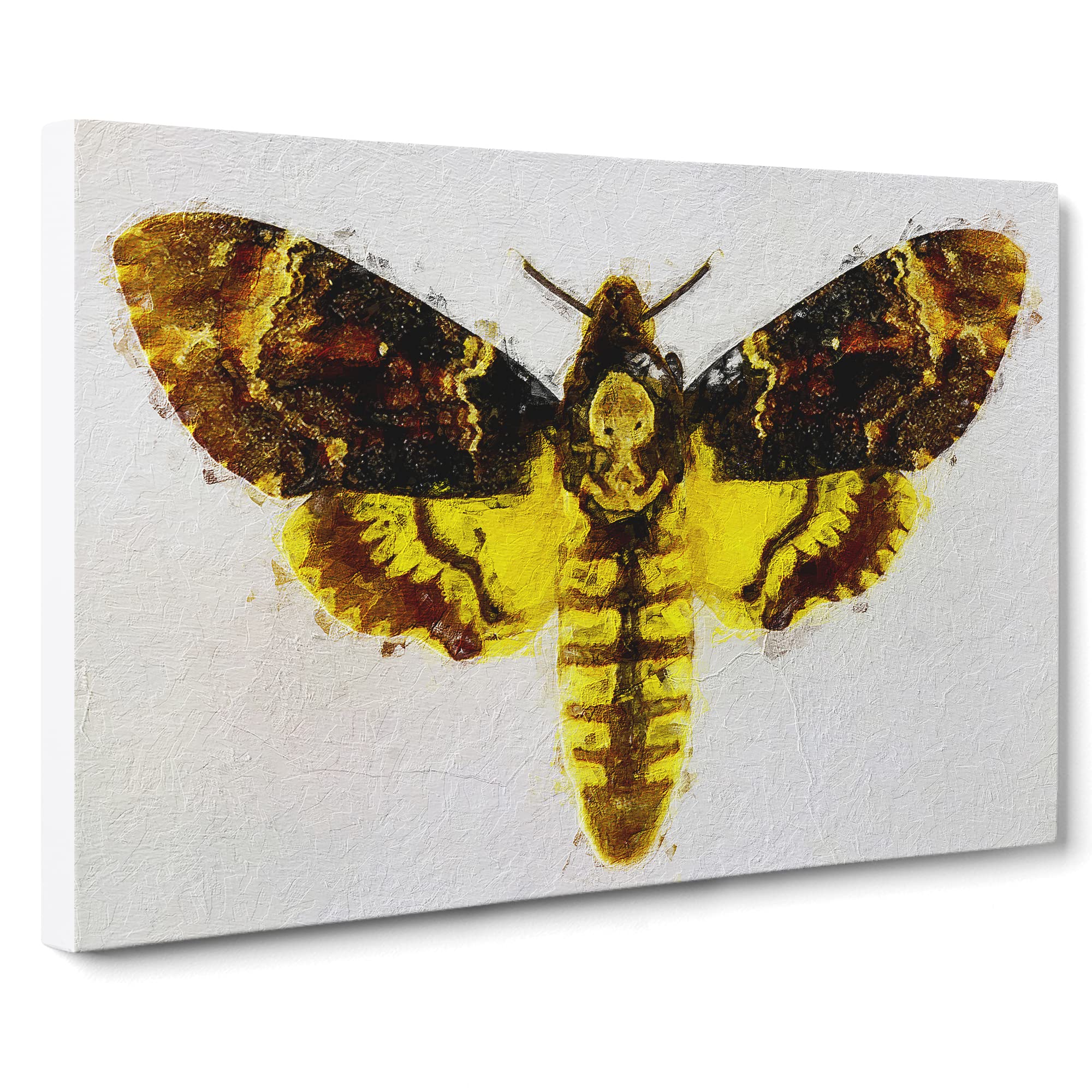 Deaths head Moth Canvas Print | Gallery Wrapped 30mm Frame Wall Art | 20x14 inches | Ready to Hang | Retro Picture | Living Room Bedroom Lounge Office