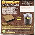 SpongEase Potting Soil - 10 Quart Pop up Bag - Pro Coco Coir Potting Soil for Plants, Seed Starting, Cuttings