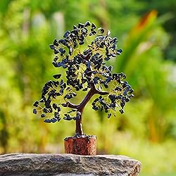 YUVDIPR Black Tourmaline Tree of Life of Life