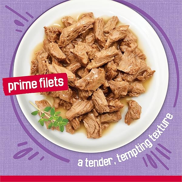 PURINA FRISKIES PRIME FILETS TURKEY DINNER IN WET CAT FOOD GRAVY – (PACK OF 24) 5.5 OZ. CANS