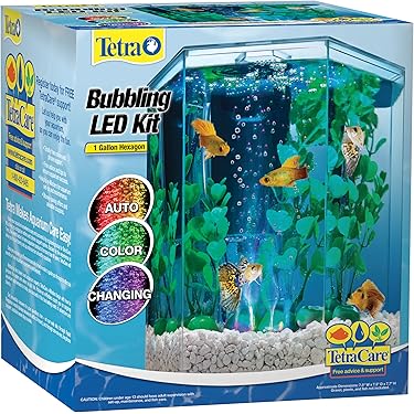 Best Aquarium Starter Kits for Beginners: Top Picks for Easy Setup