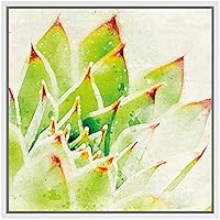 SIGNWIN Framed Canvas Wall Art Green Copper Pinwheel with Pink Tips Succulent Botanical Plants Watercolor Modern Art Chic Closeup Relax/Calm for Living Room, Bedroom, Office - 16x16 inches