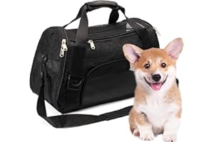 2 BROTHERS WHOLESALE Collapsible Cat Carrier Soft - Secure & Comfortable Small Dog Carriers - Portable Small Pet Carrier for Cat - Lightweight Small Rabbit Carriers for Travel (Medium, Black)