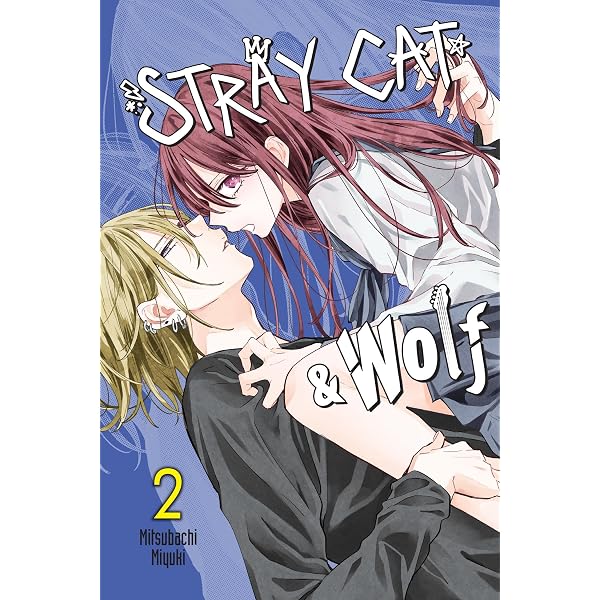 STRAY☆CATです。 Stray Cat & Wolf, Vol. 1: Volume 1 | Amazon.com.br