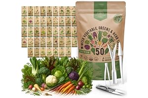 ORGANO REPUBLIC 50 Winter Vegetable Garden Seeds Variety Pack - 43,450+ Non-GMO Heirloom Seeds for Outdoors & Indoor Home Gardening, Including Kohlrabi, Lettuce, Radish, Onion, Choy, Spinach, Cauliflower, Collards