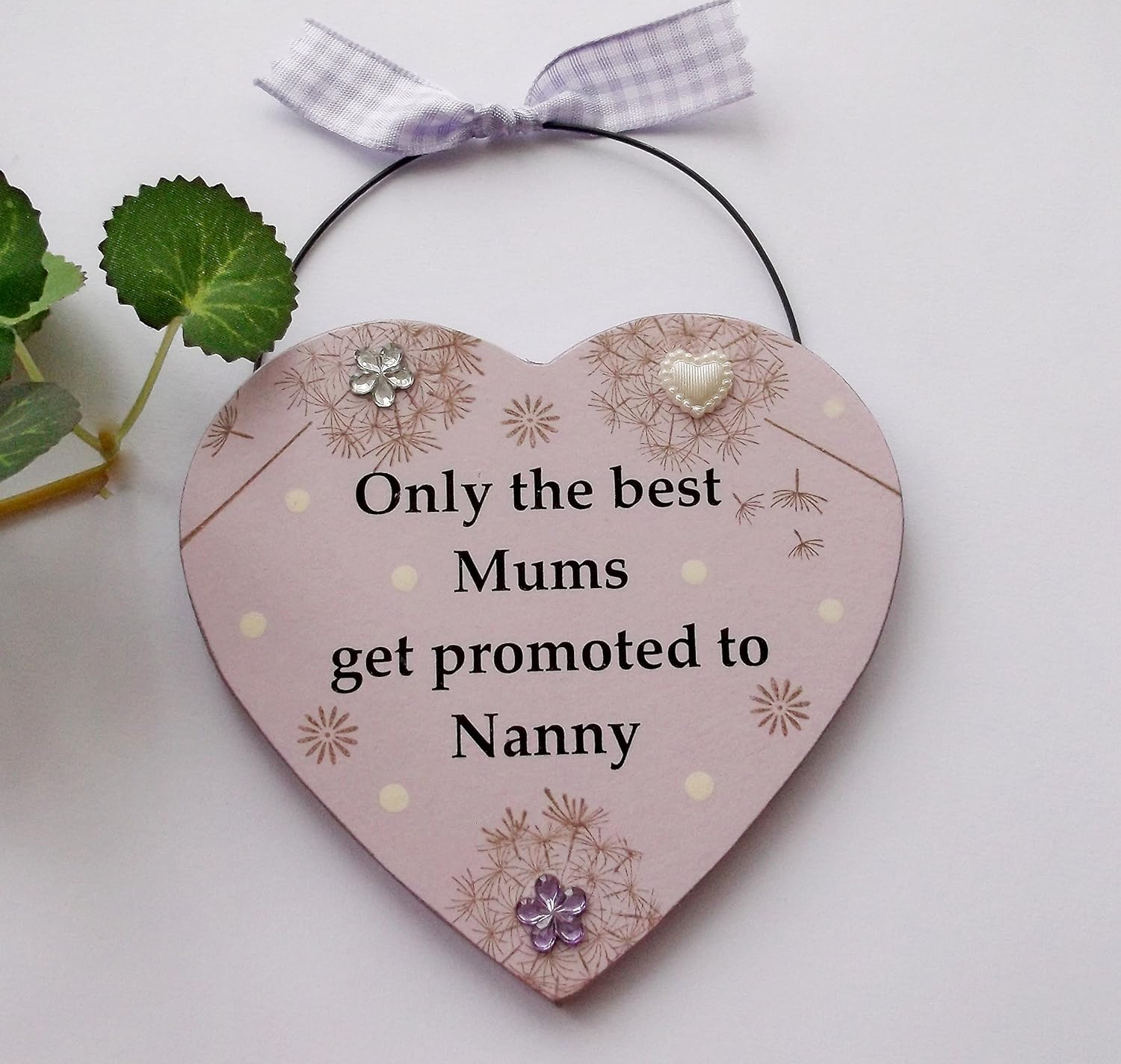 only the best mums get promoted to nanny