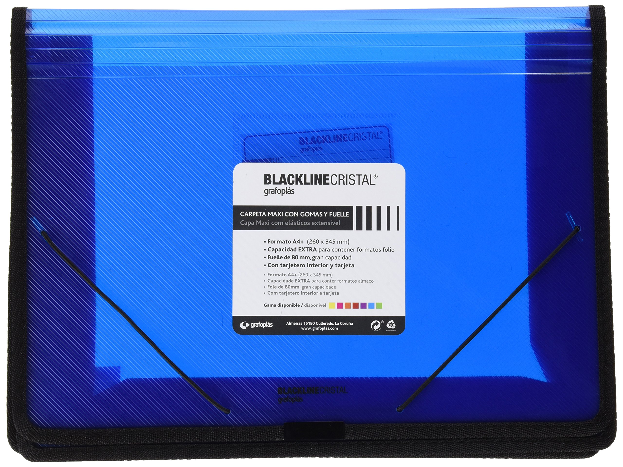 Grafoplas 4800530 Economical Large-Capacity A4+ Bellow Folder with Elastic Band Closures – Blue