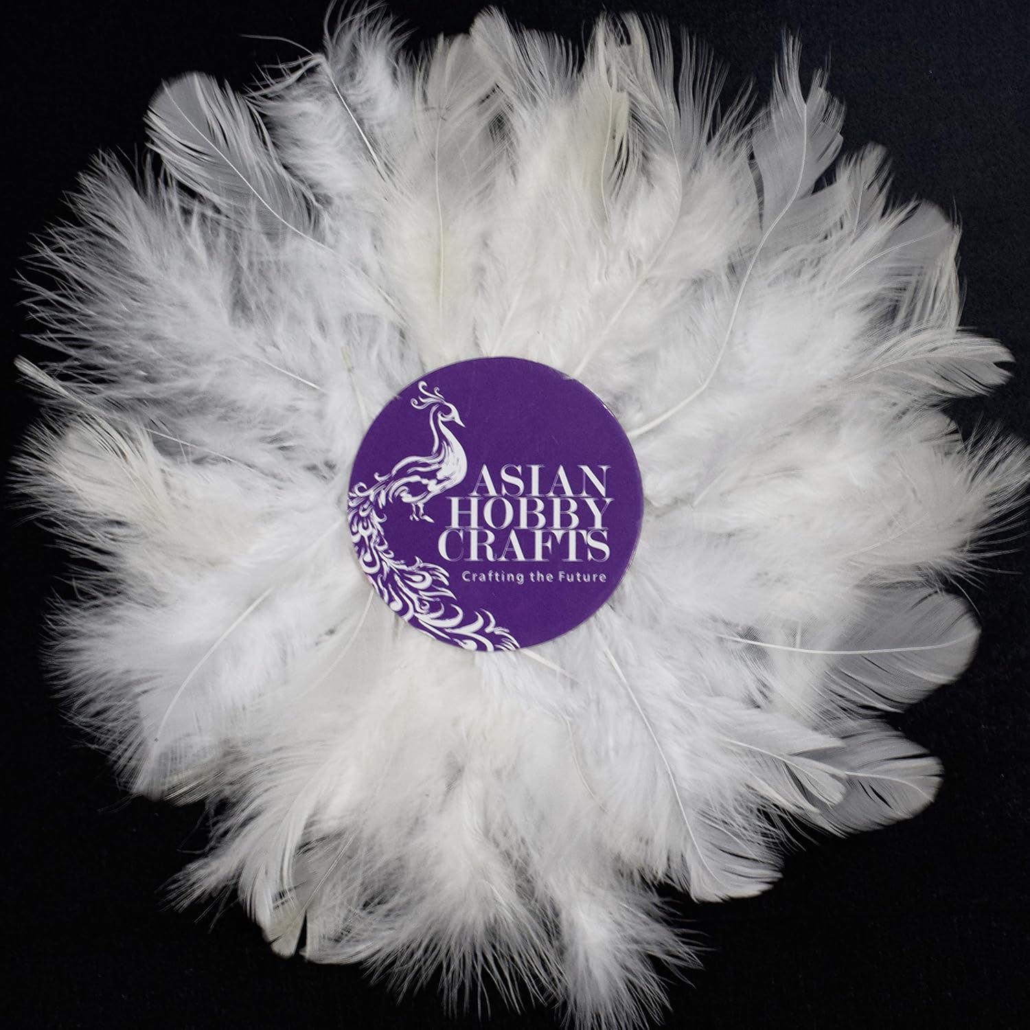 Asian Hobby Crafts Natural Dyed Feathers, White (80 Pieces) Amazon.in