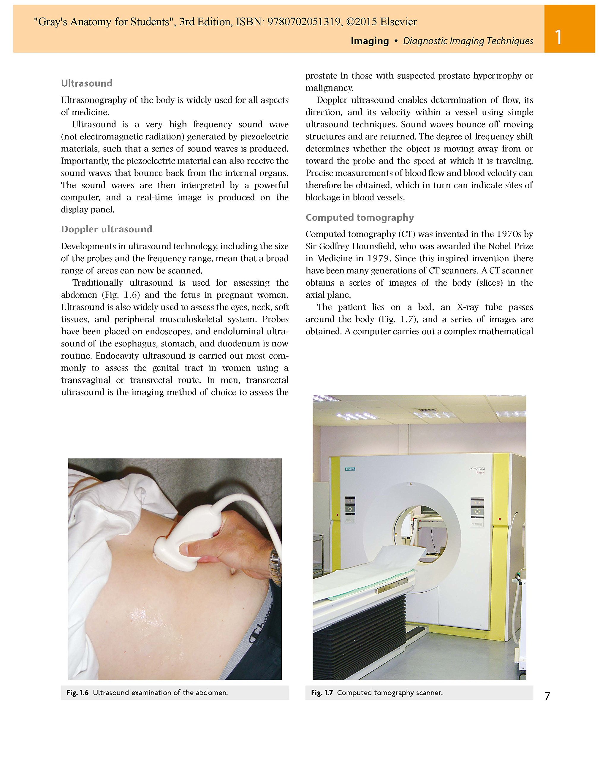 [- Gray's Anatomy for Students: With Student Consult Online Access, 3e -]