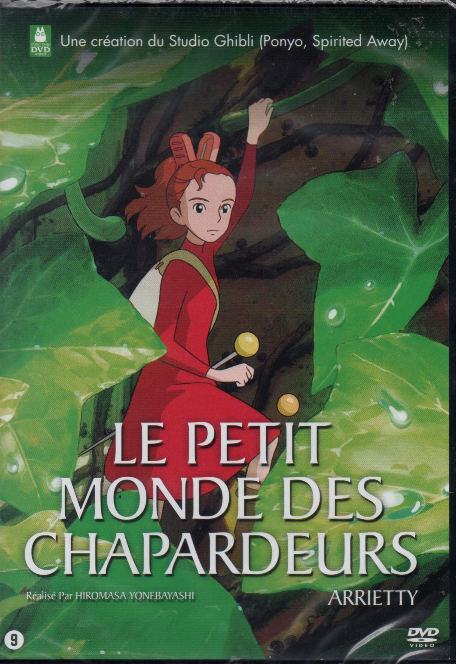 Le Petit Monde des Chapardeurs - DVD