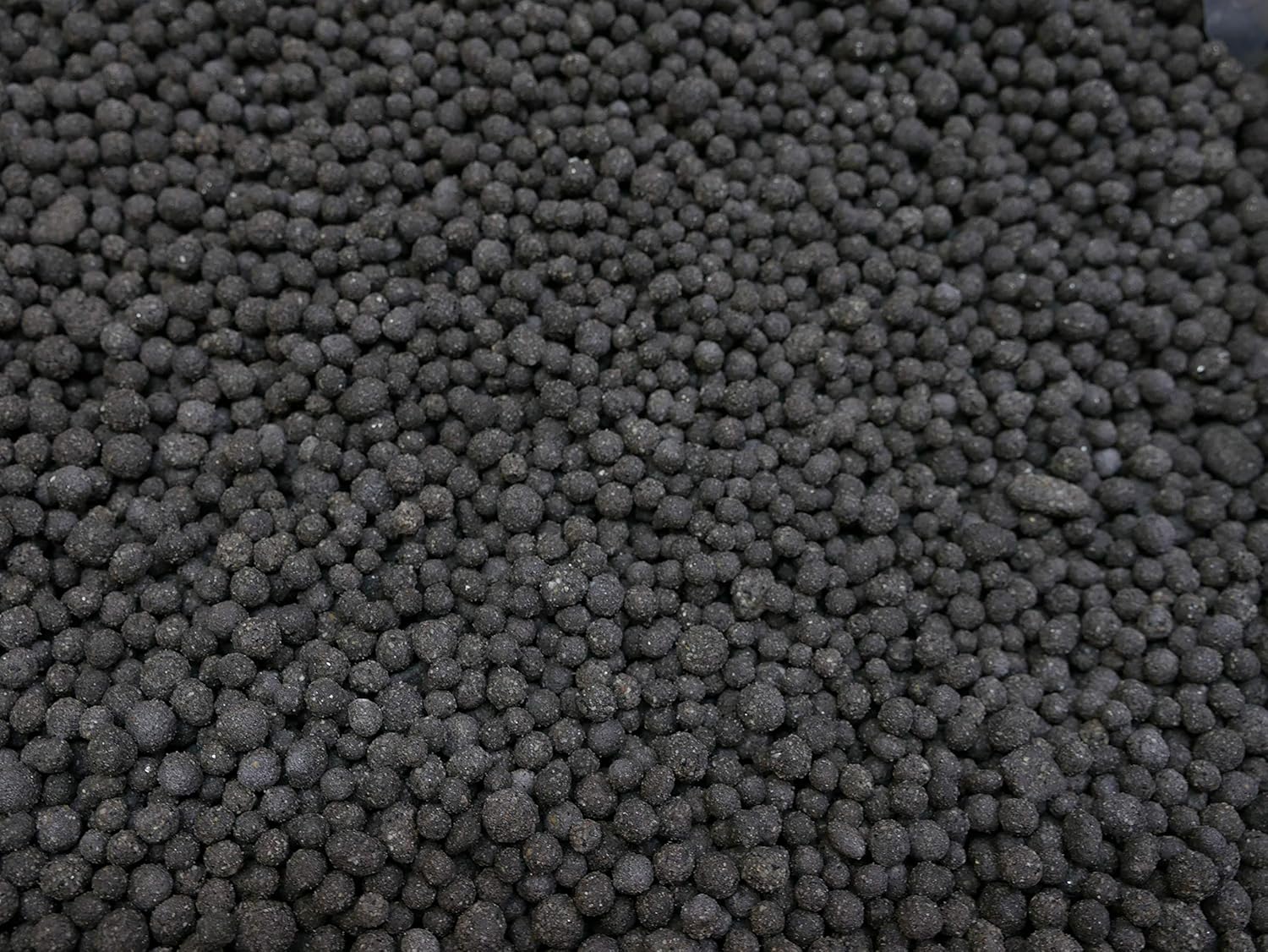 Biohome BioGravel Aquarium Filter Media (1 Pound) Amazon.co.uk Pet