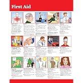 CPR First Aid AED Choking 8.5 x 11 Laminated Reference Chart (FA, Single)