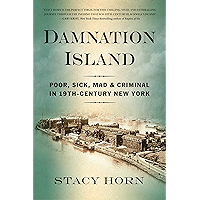 Damnation Island: Poor, Sick, Mad, and Criminal in 19th-Century New York book cover