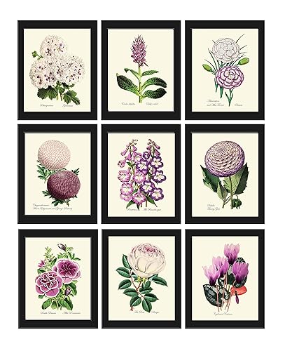 Kitchen Art Kitchen Art Work Orchid Print Food Art Poster Vintage Botanical Poster Wall Art Decor Co626 Prints Art Collectibles Vadel Com
