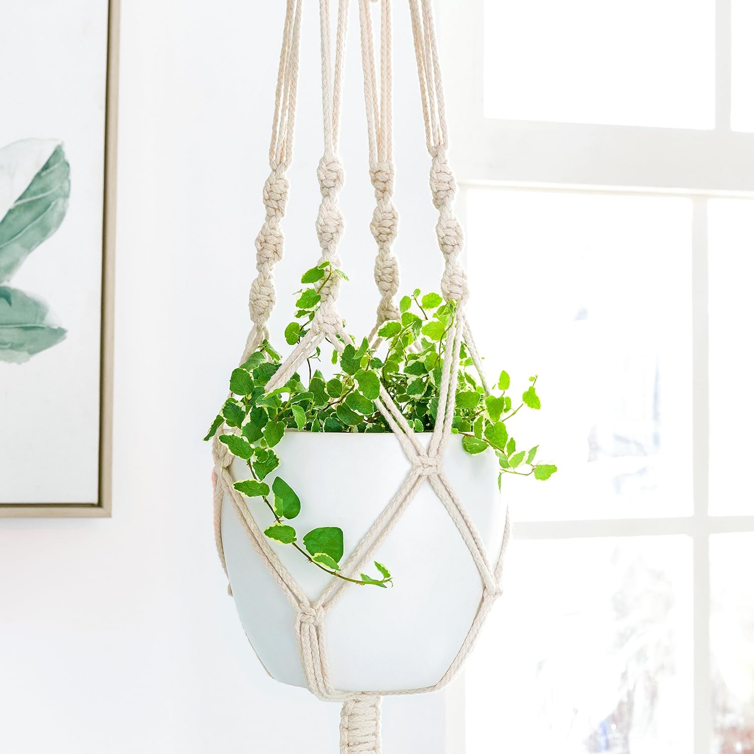 Mkono Macrame Plant Hanger Indoor Outdoor Hanging Planter Basket Cotton Rope 4 Legs 41 Inch: Garden & Outdoor