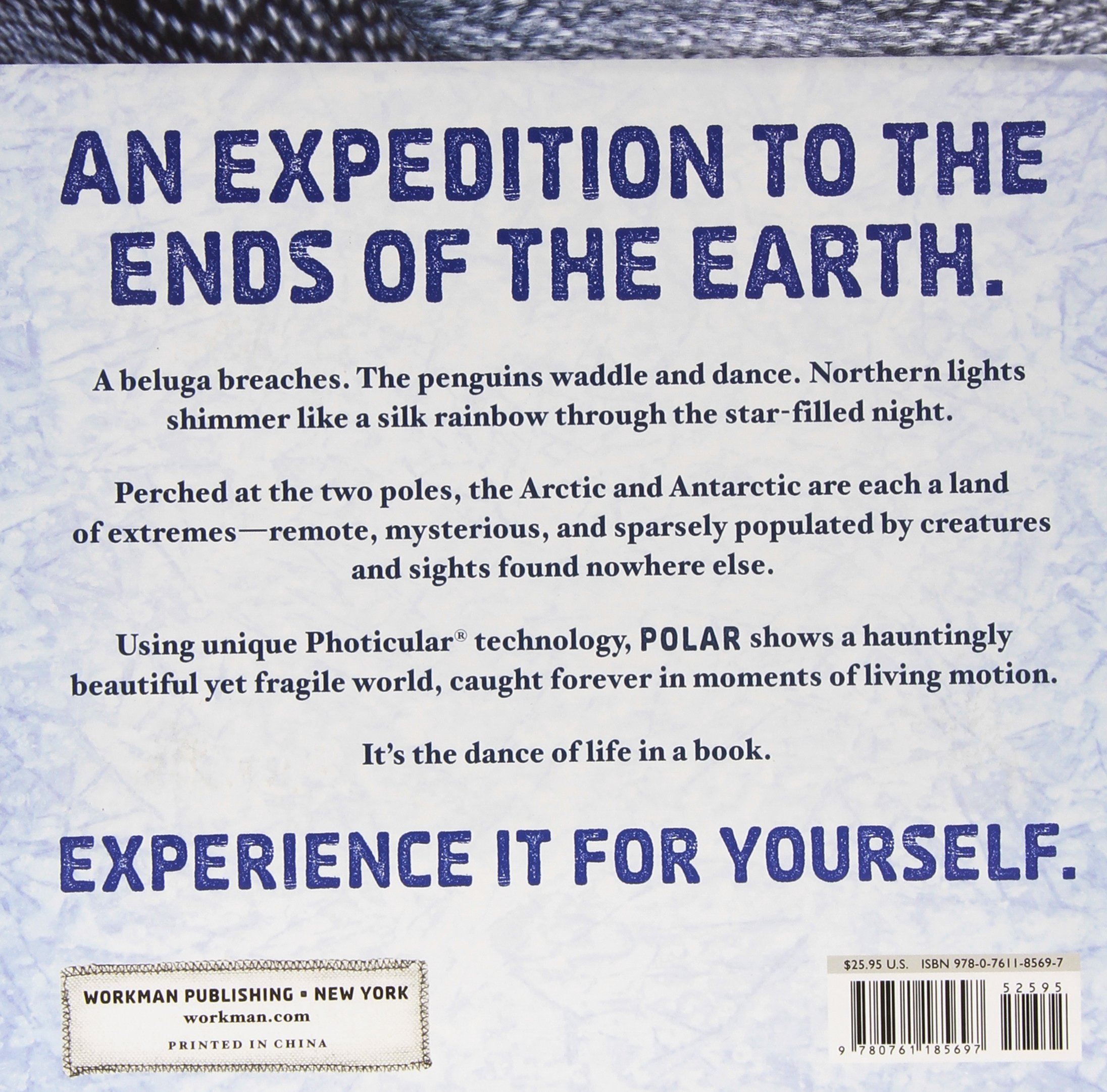 Amazon Polar A Photicular Book Photicular Books Animal Kingdom Kainen Dan Kaufmann Carol Wildlife