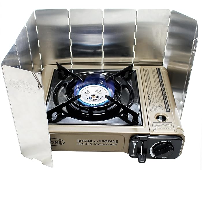 Buy GasOne GS3400P with WindScreen Dual Fuel Portable Propane & Butane