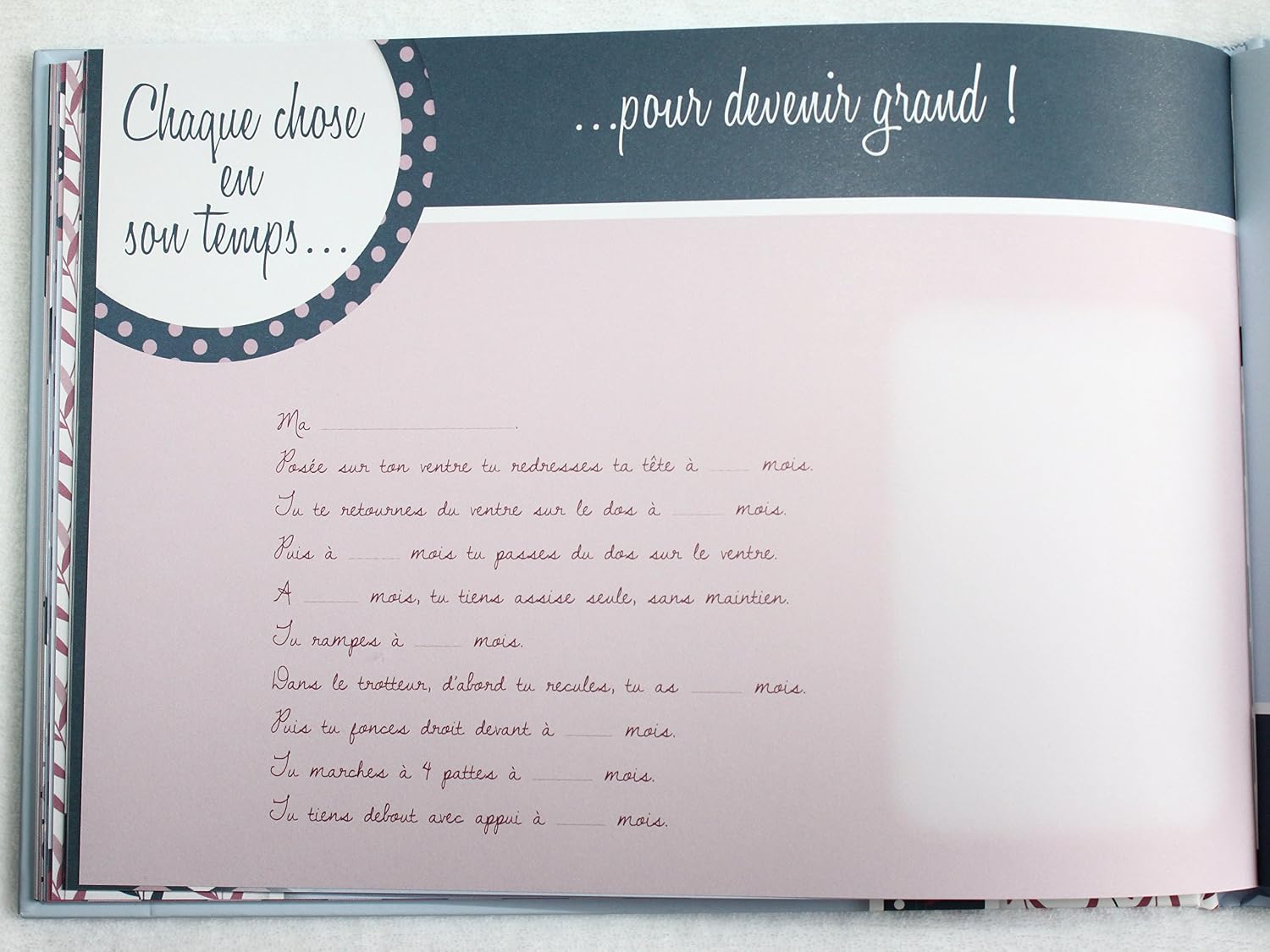 Albums Souvenirs Livre De Naissance Jumeaux Mixtes Lhistoire De Mes Bebes Franzoso Carole Bebe