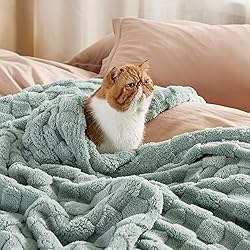 Bedsure Sage Green Fleece Blanket for Couch - Super