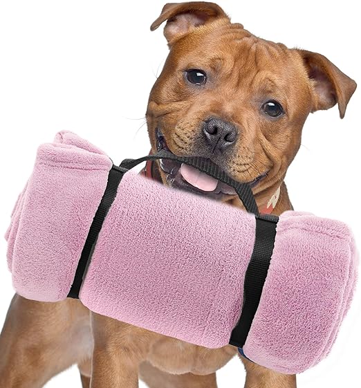 super soft dog blanket