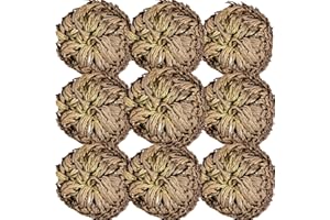 EQUSYM 9 Pack Real Dried Rose of Jericho - 100% Natural Dry Rosa de Jerico Original, Fern Like Scale Leaf Plants for Prayer, Spiritual Purification, Home Decor