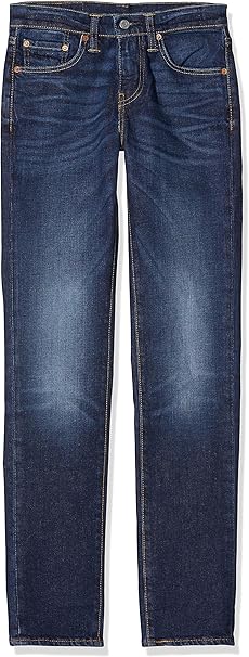 levis 511 brutus