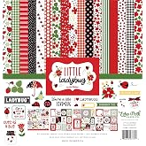 Little Ladybug Collection Kit