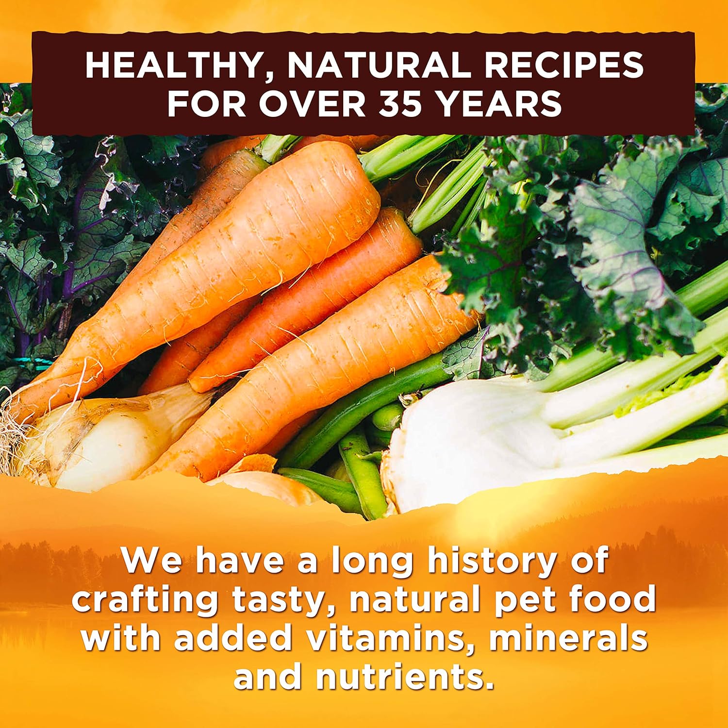 nature's recipe vegetarian