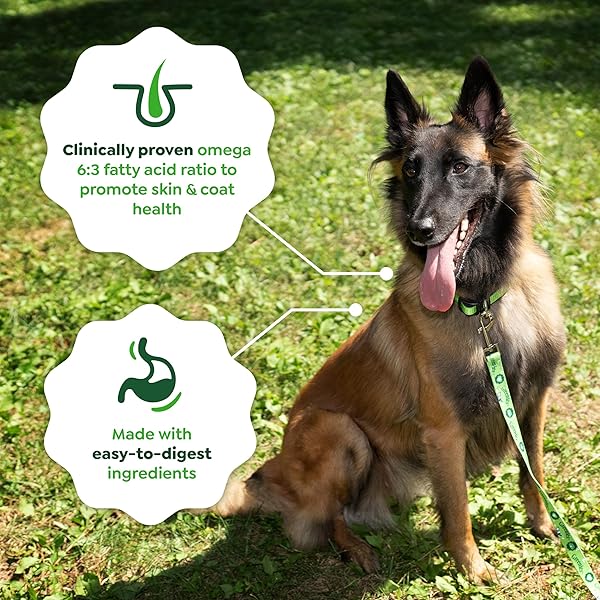 GREENIES SMART ESSENTIALS SENSITIVE DIGESTION & SKIN ADULT DRY DOG FOOD REAL LAMB & BROWN RICE RECIPE, 6 LB. BAG