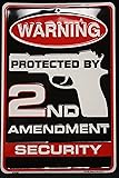 Tag City Novelty SP80063 Warning Protected By 2nd Amendment Security Metal Sign, (8 X 12 Inches)
