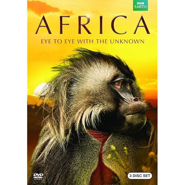 Wildlife Specials Box Set [DVD]: Amazon.ca: Movies & TV Shows