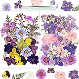 Dried Flowers, Resiners 58Pcs Pressed Flowers for
