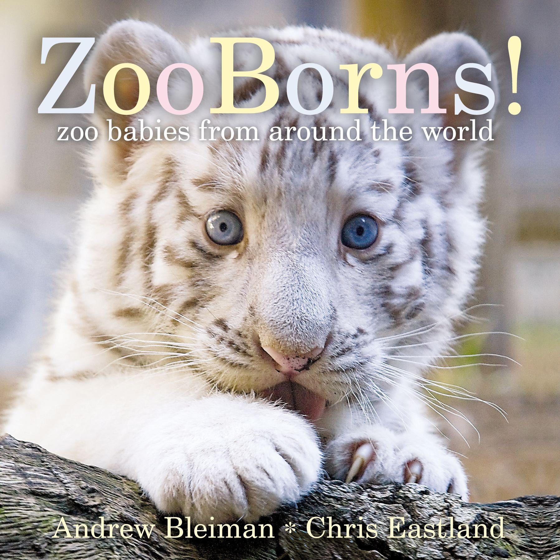 zoo babies book