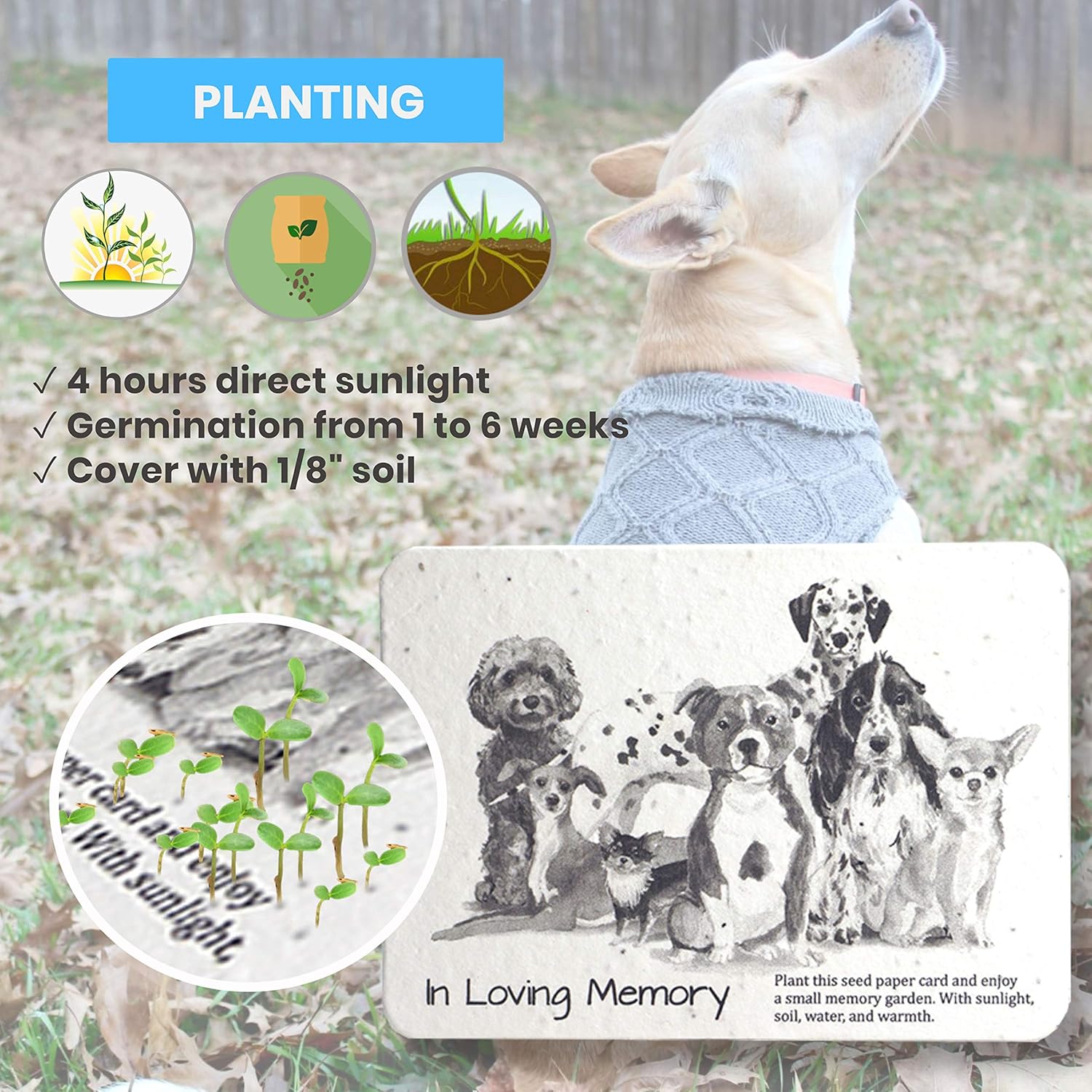 Narrative essay about losing a pet image