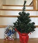 Review Image by Anna