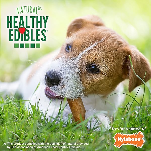 NYLABONE HEALTHY EDIBLES NATURAL DOG CHEWS LONG LASTING CHICKEN FLAVOR TREATS FOR DOGS, SMALL/REGULAR (3 COUNT)