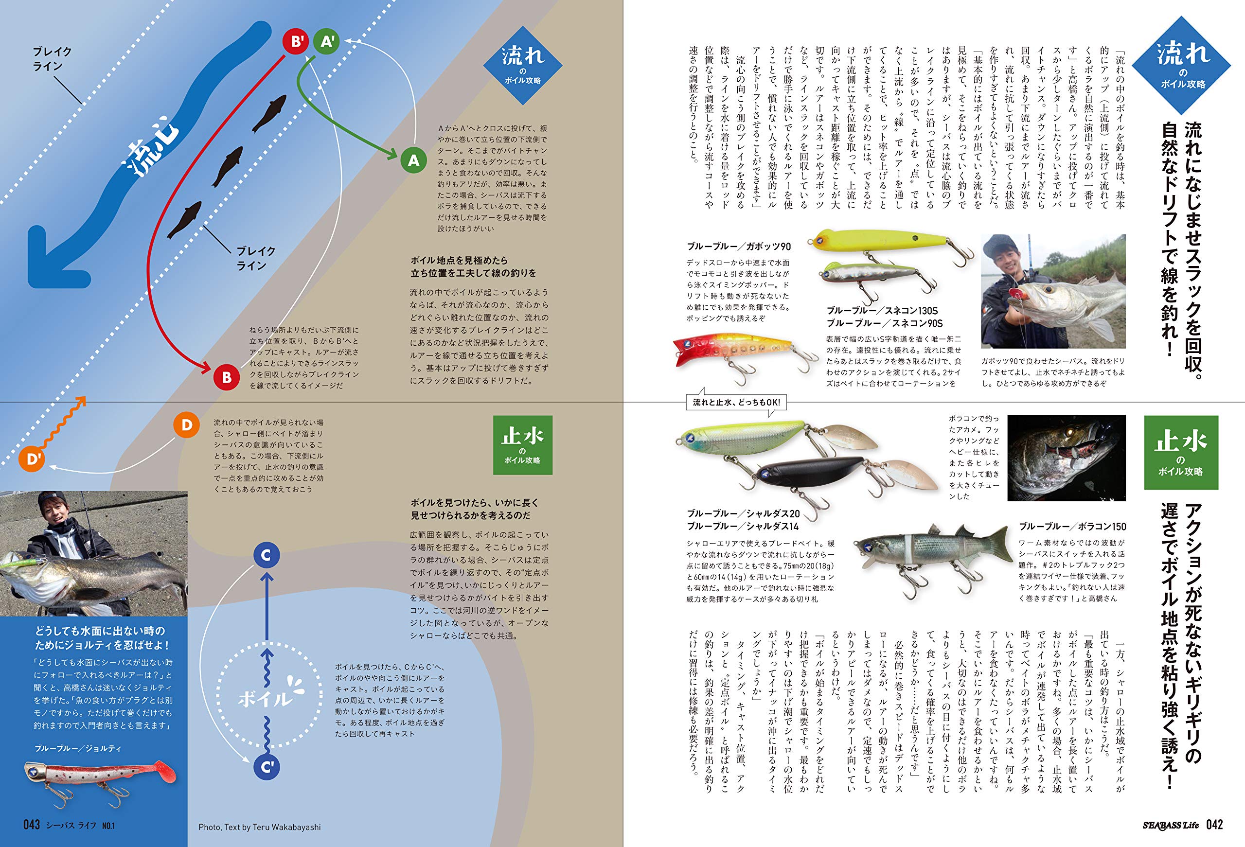 Seabass Life 1 19年 10月号 雑誌 つり人 増刊 本 通販 Amazon