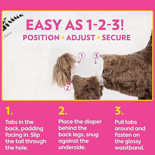 OUT! PETCARE DISPOSABLE DOG DIAPERS FOR FEMALE DOGS, DOG HEAT DIAPERS, FEMALE DOG PERIOD PADS, FEMALE DOGGY DIAPER FOR PEEING, PET DIAPERS FOR SMALL PETS,13”-18” WAIST, XS/SMALL, 16 COUNT