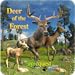 Deer of the Forest
