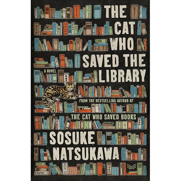 Ｇａｔｏ　ｑｕｅ　ｐｕｌａｖａ　ｅｍ　ｓａｐａｔｏ/新世研/フェルナンダ・ロペス・デ・アルメイダ（大型本） The Cat That Saves Books: Sōsuke Natsukawa, Louise Heal Kawai