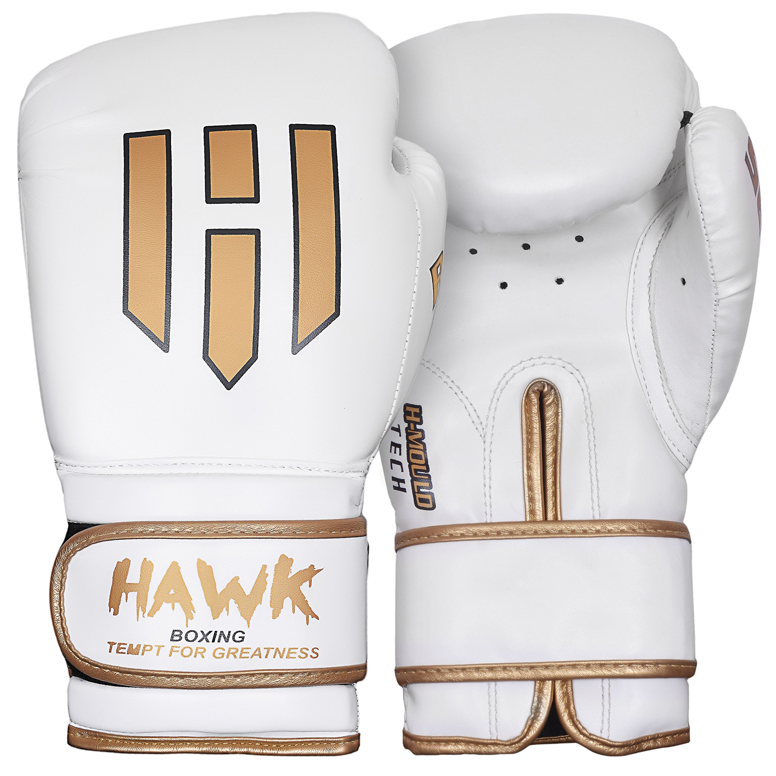 Best Boxing Bag Gloves Review IUCN Water