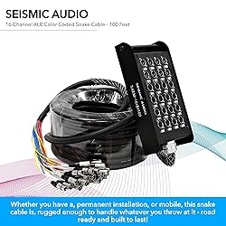 Seismic Audio SACB-24x8x100 24-Channel XLR Low